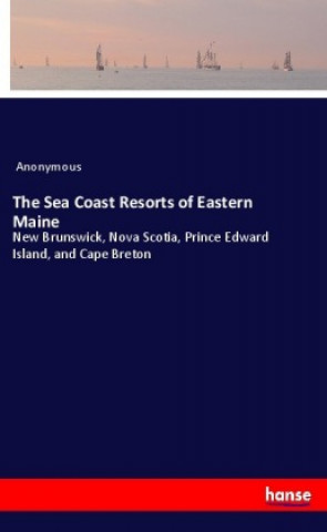 Buch The Sea Coast Resorts of Eastern Maine Anonym