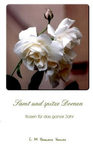 Knjiga Samt Und Spitze Dornen Christine Brendle