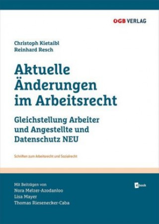 Könyv Aktuelle Änderungen im Arbeitsrecht Nora Melzer-Azodanloo