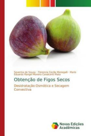 Carte Obtencao de Figos Secos Severina de Sousa