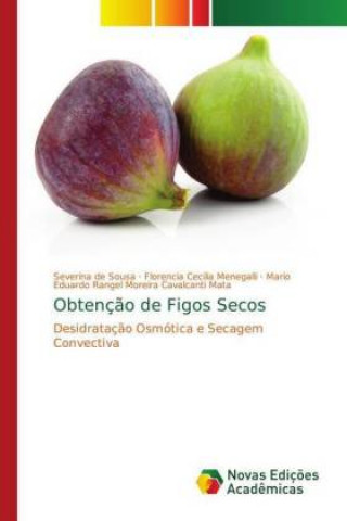 Libro Obtencao de Figos Secos Severina de Sousa