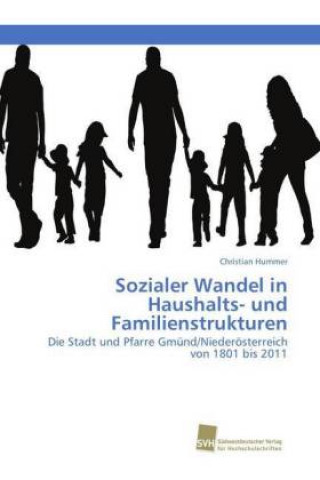 Kniha Sozialer Wandel in Haushalts- und Familienstrukturen Christian Hummer