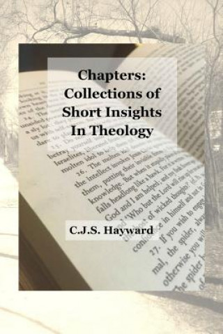 Книга Chapters: Collections of Short Insights in Theology Cjs Hayward