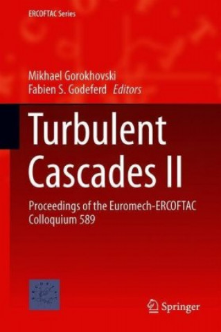 Książka Turbulent Cascades II Mikhael Gorokhovski