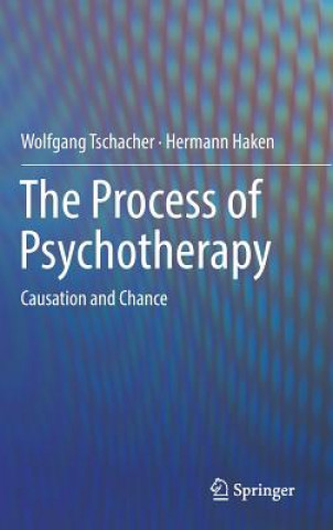 Kniha Process of Psychotherapy Wolfgang Tschacher