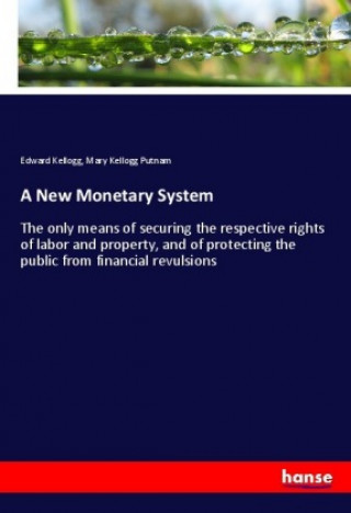 Könyv A New Monetary System Edward Kellogg