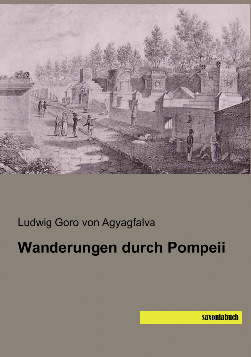 Książka Wanderungen durch Pompeii Ludwig Goro von Agyagfalva