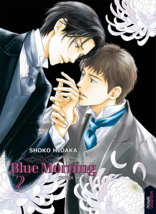 Kniha Blue morning SHOKO HIDAKA