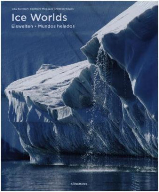 Kniha Ice 