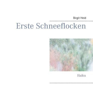 Buch Erste Schneeflocken Birgit Heid