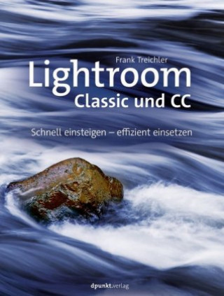 Kniha Lightroom - Classic und cloudbasiert Frank Treichler