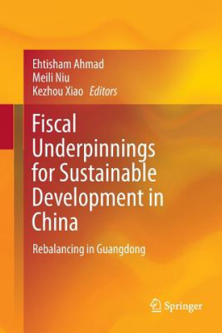 Livre Fiscal Underpinnings for Sustainable Development in China Ehtisham Ahmad