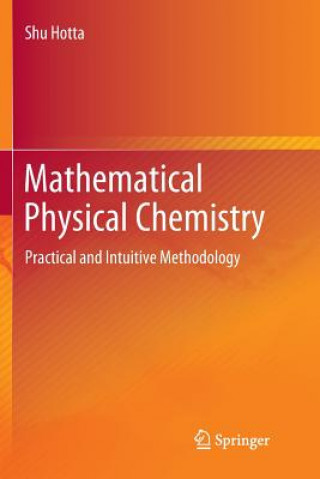 Kniha Mathematical Physical Chemistry Shu Hotta