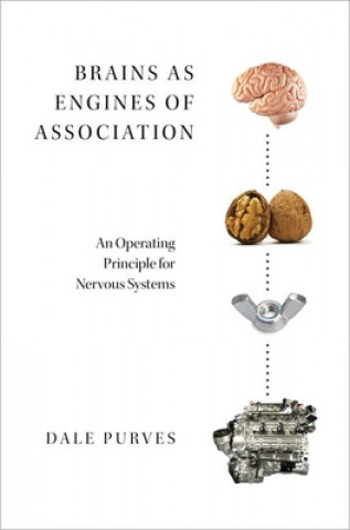 Kniha Brains as Engines of Association Dale Purves