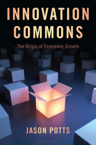 Könyv Innovation Commons Jason Potts