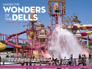 Kniha Among the Wonders of the Dells J. Tyler Friedman