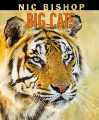 Book Nic Bishop Big Cats Nic Bishop