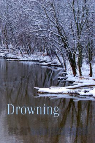 Livre Drowning: Down in the Dirt July-December 2013 Collection Kaitlin Allen