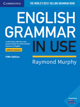 Kniha English Grammar in Use. Book without answers. Fifth Edition Raymond Murphy