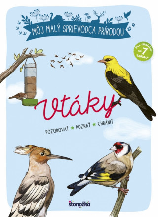 Książka Môj malý sprievodca prírodou Vtáky Michel Luchesi
