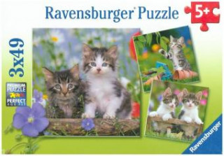 Játék Ravensburger Kinderpuzzle - 08046 Süße Samtpfötchen - Puzzle für Kinder ab 5 Jahren, mit 3x49 Teilen 