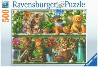 Játék Katzen im Regal (Puzzle) 