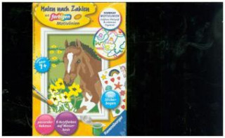 Igra/Igrača Ravensburger Malen nach Zahlen 28463 - Fohlen - Kinder ab 7 Jahren 