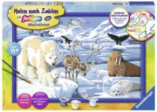 Gra/Zabawka Ravensburger Malen nach Zahlen 28909 - Tiere der Arktis - Kinder ab 11 Jahren 