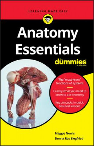 Kniha Anatomy Essentials For Dummies Maggie Norris