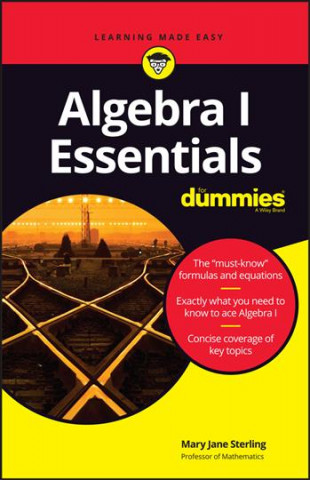 Book Algebra I Essentials For Dummies Mary Jane Sterling