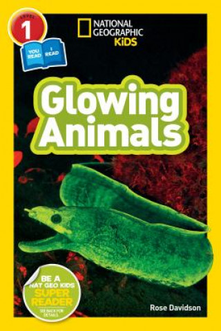Könyv National Geographic Readers: Glowing Animals (L1/Co-Reader) Rose Davidson