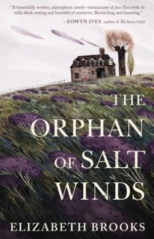 Kniha The Orphan of Salt Winds Elizabeth Brooks