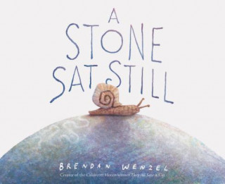 Kniha Stone Sat Still Brendan Wenzel