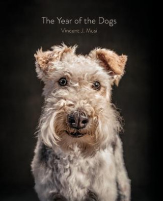 Книга Year of the Dogs Vincent J. Musi