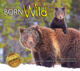 Kniha Born Wild 2: In Yellowstone and Grand Teton National Parks Stephen C Hinch