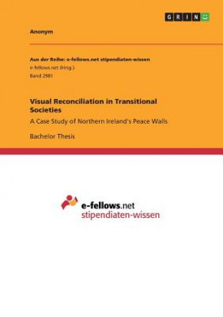 Knjiga Visual Reconciliation in Transitional Societies Anonym