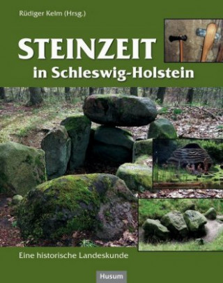 Könyv Steinzeit in Schleswig-Holstein Rüdiger Kelm