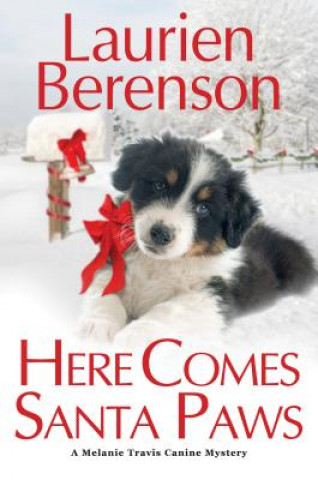 Könyv Here Comes Santa Paws Laurien Berenson