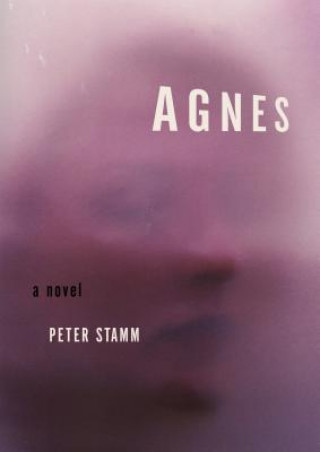 Book Agnes Peter Stamm