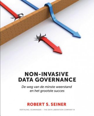 Könyv Non-Invasive Data Governance Robert Seiner