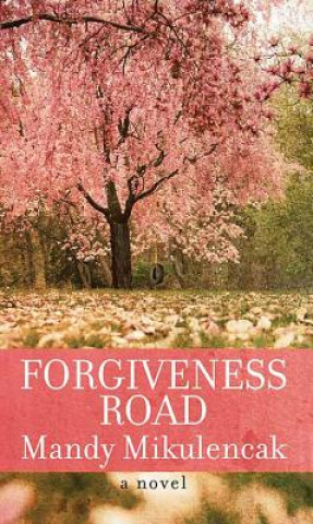 Buch Forgiveness Road Mandy Mikulencak