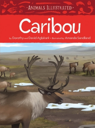 Kniha Animals Illustrated: Caribou Dorothy Aglukark