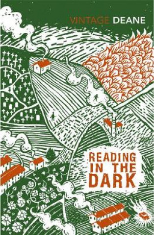 Könyv Reading in the Dark Seamus Deane