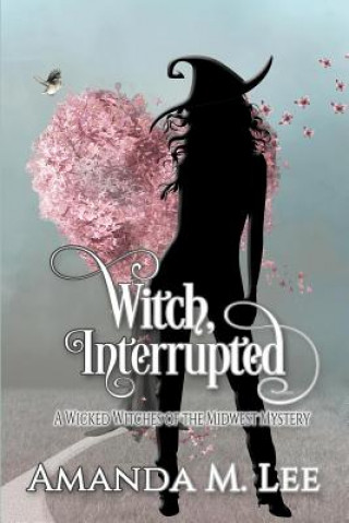 Knjiga Witch, Interrupted Amanda M Lee