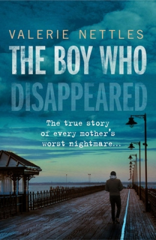 Boek Boy Who Disappeared Valerie Nettles