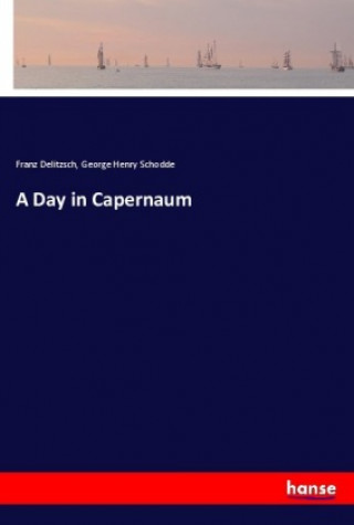 Kniha A Day in Capernaum Franz Delitzsch