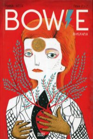 Kniha Bowie Biografia Hesse Maria