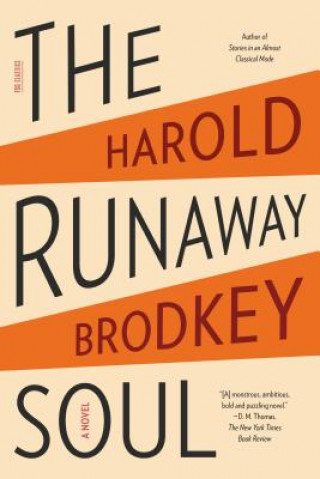 Książka The Runaway Soul Harold Brodkey