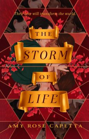 Könyv Storm of Life Amy Rose Capetta