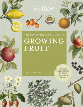 Kniha Kew Gardener's Guide to Growing Fruit Kay Maguire